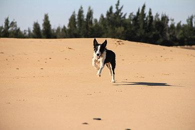 微软一款“备受好评”第一方或将今年登陆其他平台